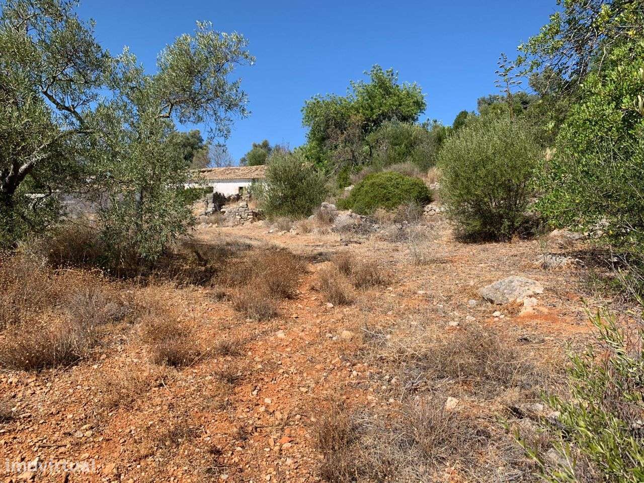 Terreno Urbano, com 3 artigos, Colmeal-22