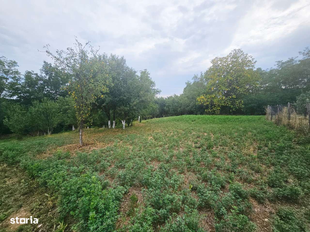 Teren intravilan, cu priveliște – Vălenii de Munte - Imagine principală: 2/19