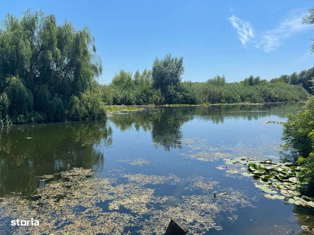 Teren 637mp Silistea Snagovului | Toate Utilitatile | Proprietar-7