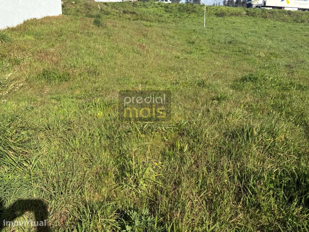 TERRENO CAVALÕES - Grande imagem: 4/4