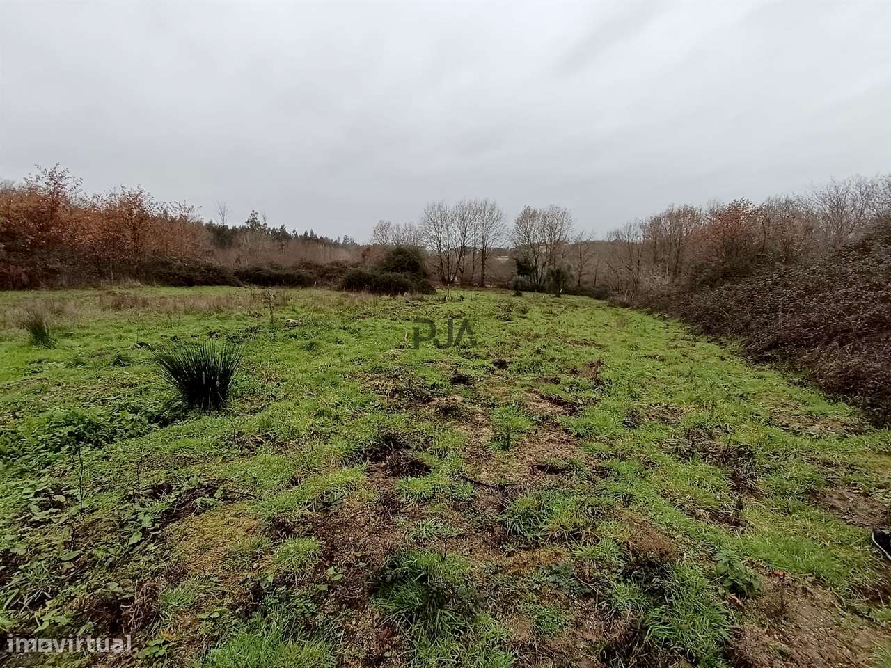 Moradia Devoluta em pedra em Casal Vidona, Santa Comba Dão - Grande imagem: 5/14