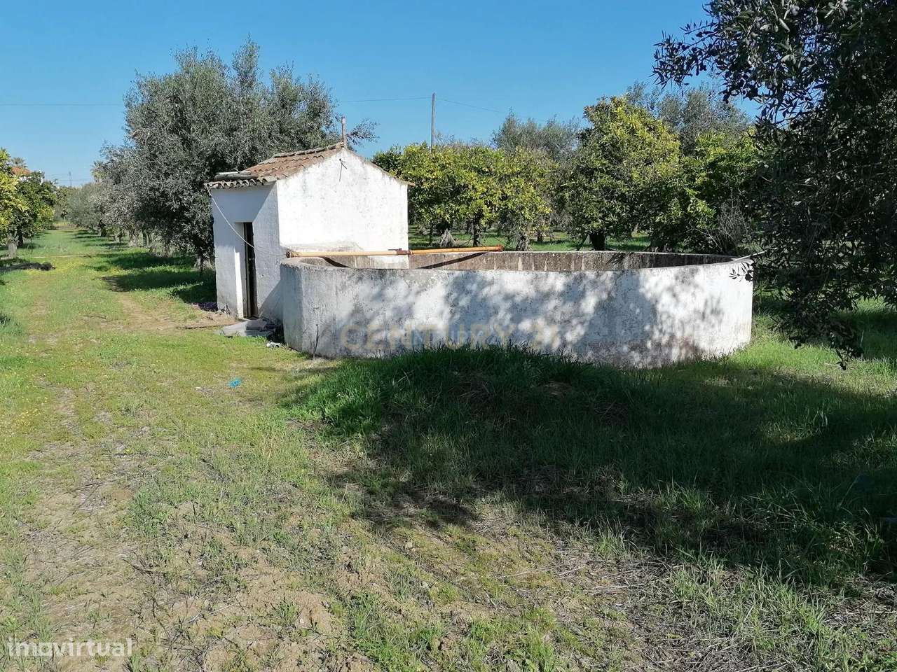 Quinta no Carapetal-17