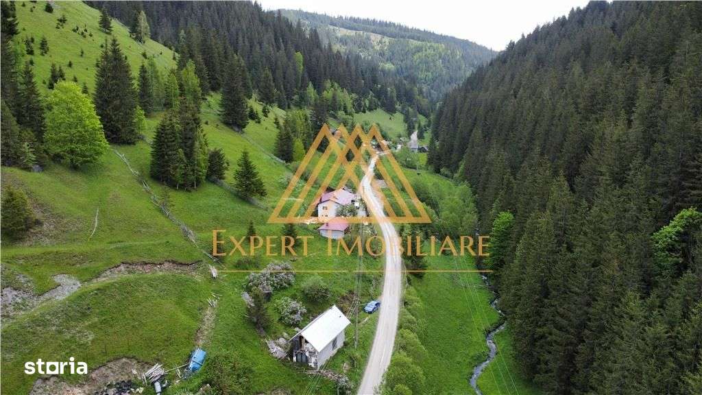 Teren cabana intr-un satuc din Bucovina cu toate utilitati-9