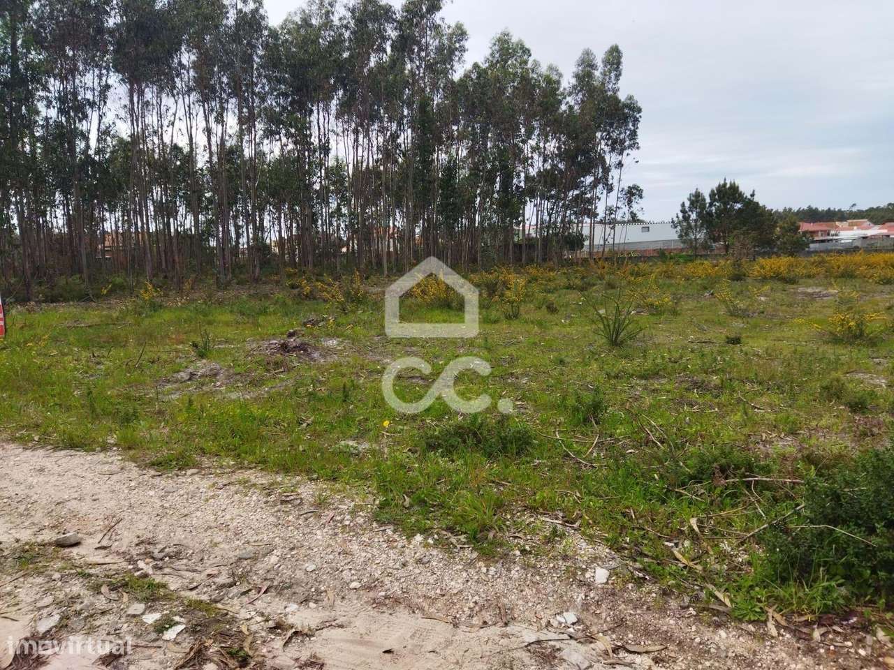 VIEIRA DE LEIRIA-------Venda global de dois terrenos com a área total - Grande imagem: 4/7