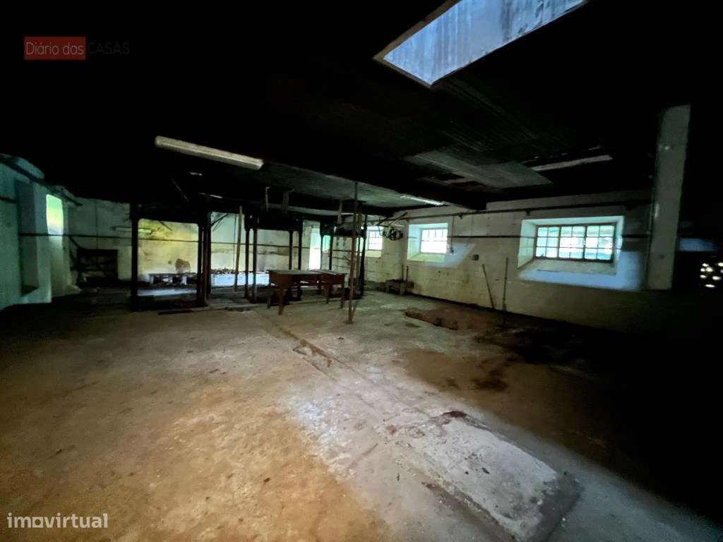 Lagar em Coimbra - Torres do Mondego (Coimbra) Portugal-10