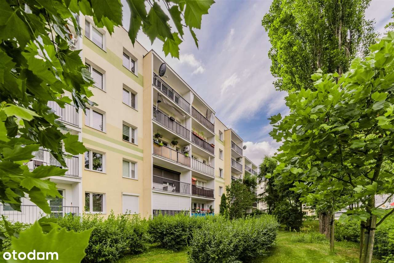 Mieszkanie trzypokojowe z osobną kuchnią-2