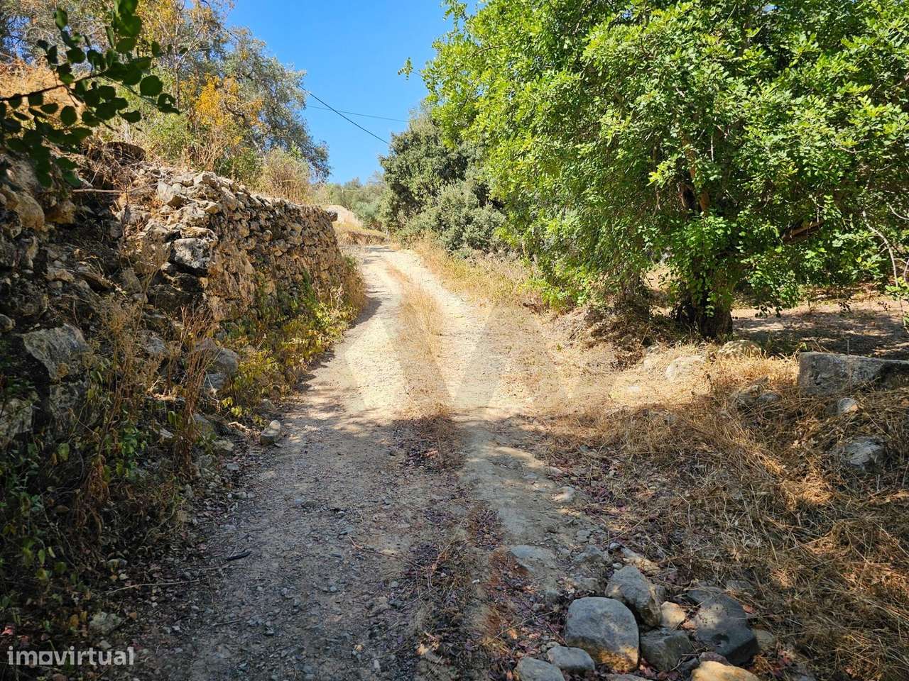 Terreno Rústico| São Sebastião| Loulé - Grande imagem: 4/21