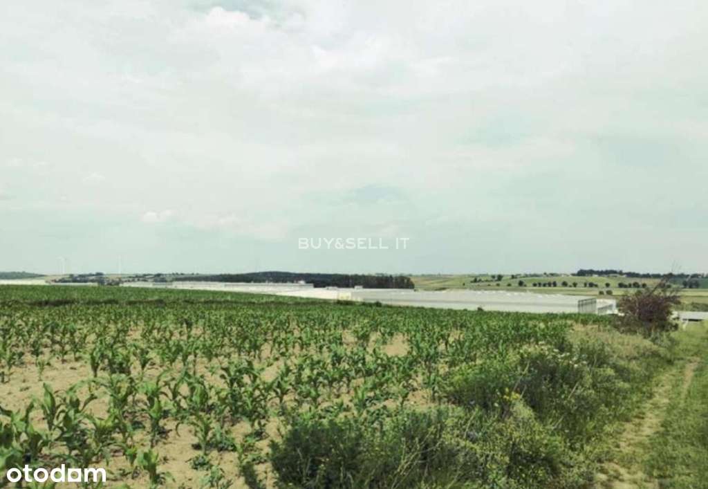 Działka z WZ | 6 budynków dwulokalowych-4