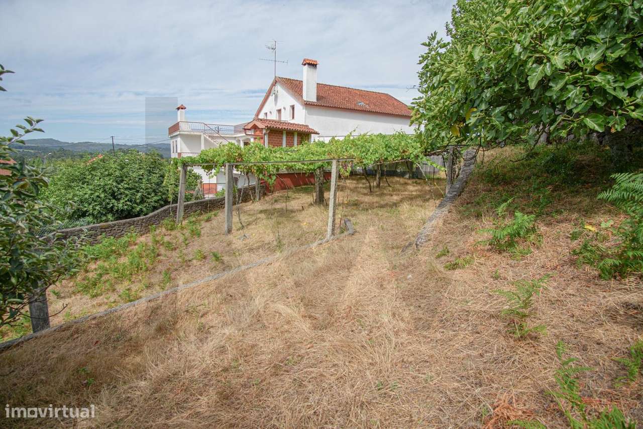Terreno com Potencial de Construção em Montaria – Serra d’Arga - Grande imagem: 5/27