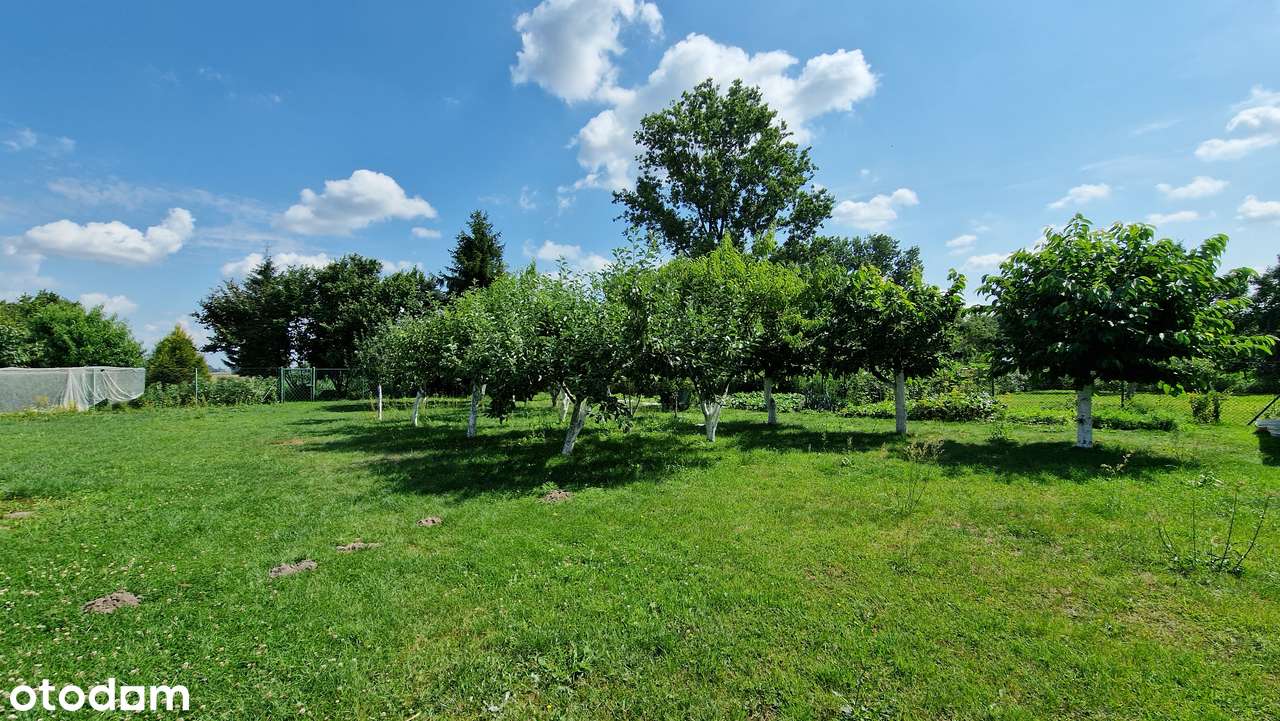 DOM JEDNORODZINNY Z DUŻĄ DZIAŁKĄ I STAWEM – MAŁYSZYN, GM. WIELUŃ-15