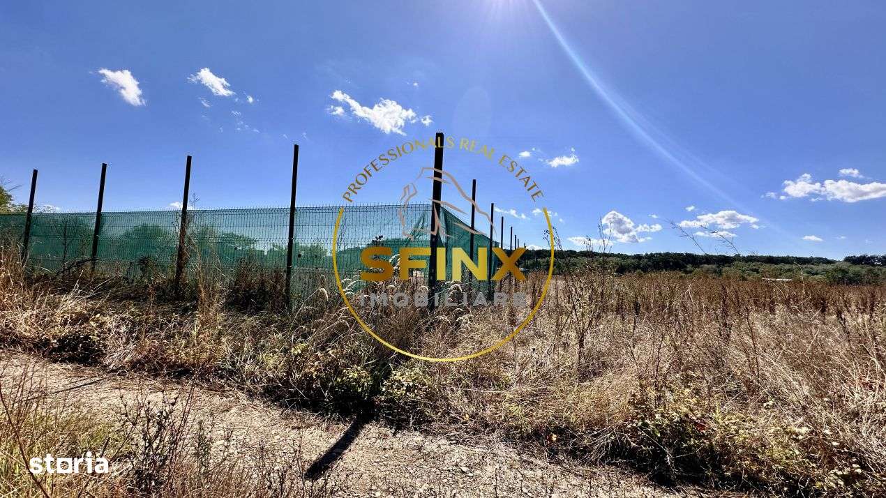 Corbeanca 5000 mp, deschidere 22 m la Drum asfaltat, padure, utilitati-10