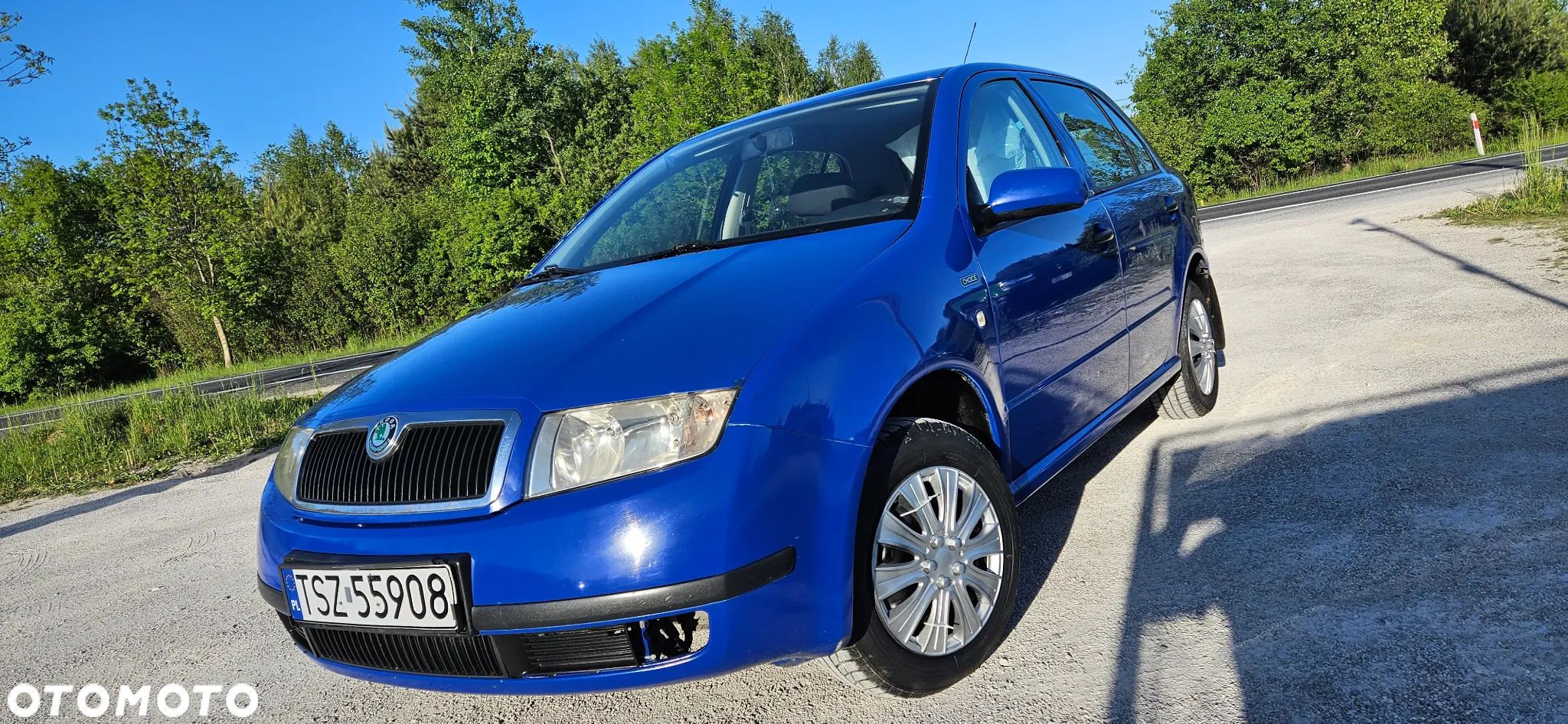 Skoda Fabia - 1