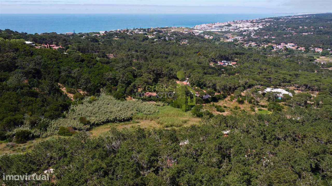 Terreno Rustico com 3.000m2 em Colares-14