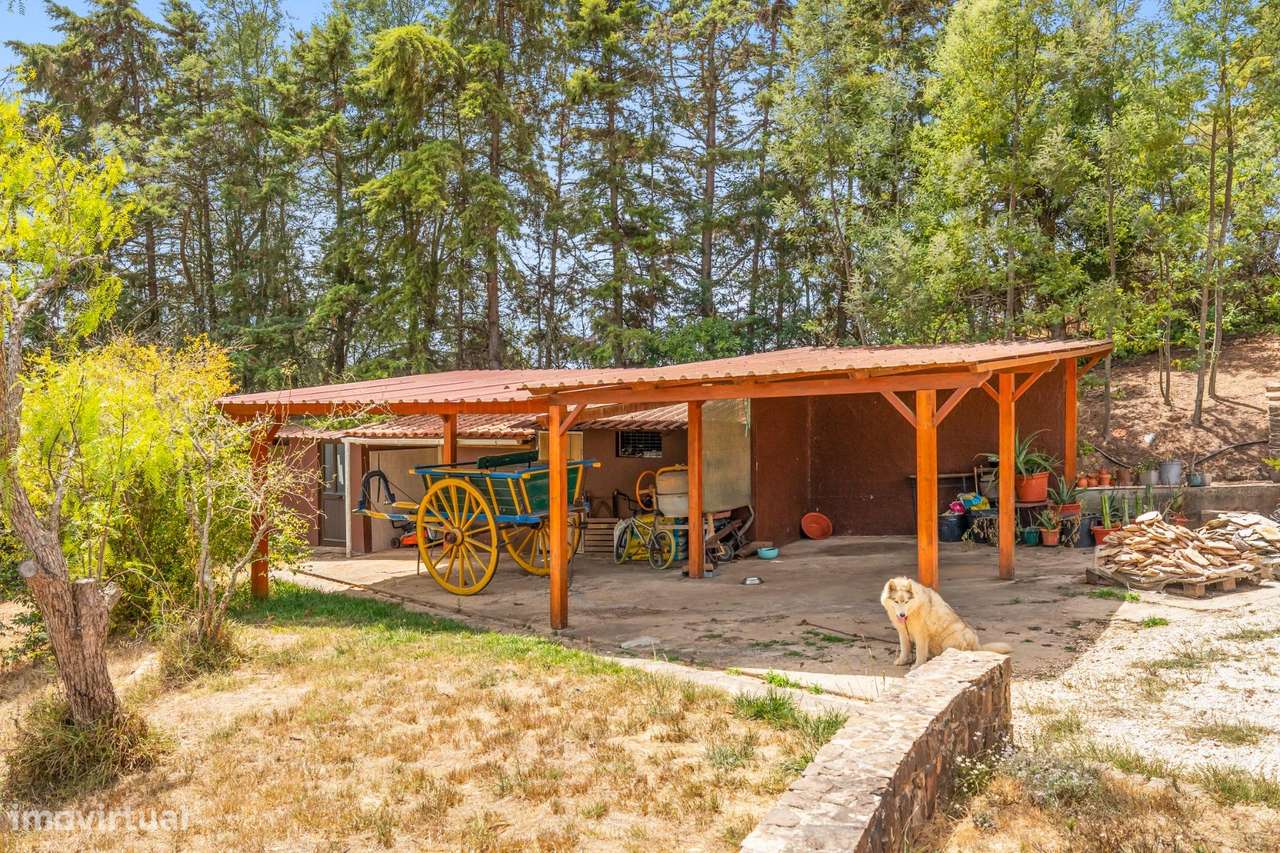 Herdade com moradia T4+1, piscina e lago-36
