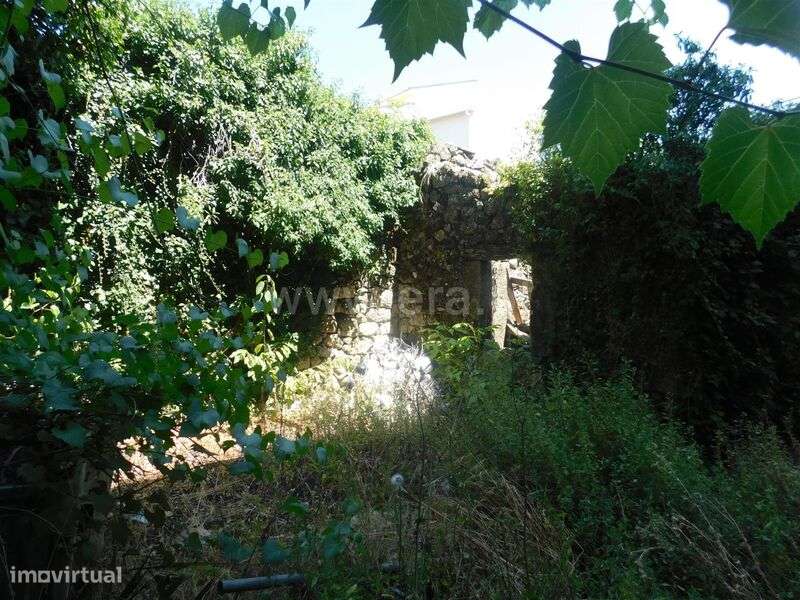 Moradia Rústica T5 / Covilhã, Teixoso - Grande imagem: 5/7
