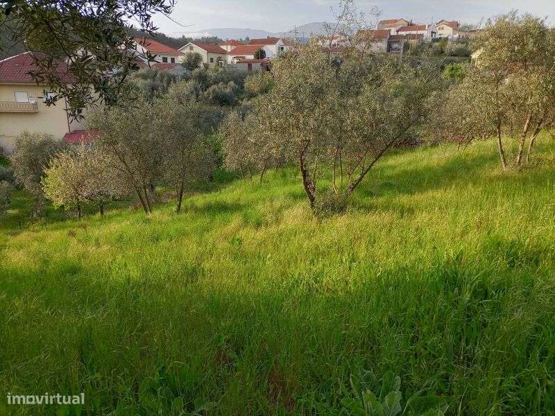 Terreno urbanizável na Rua da Barroca do Bicho - Peso, Covilhã - Grande imagem: 5/8