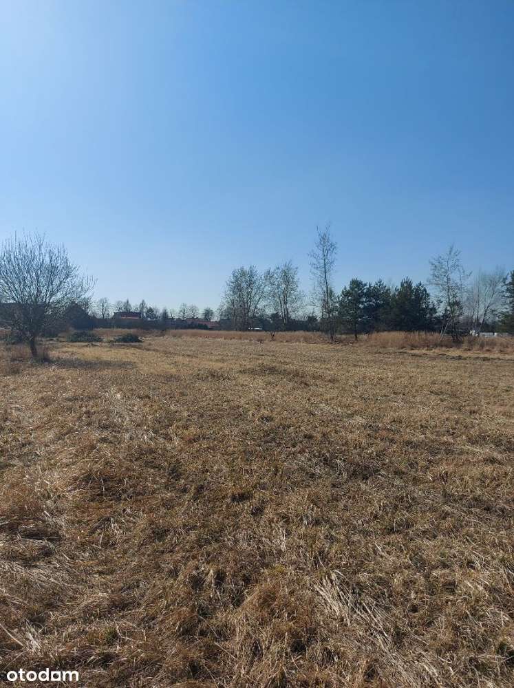 pod lasem - Pełny obrazek: 4/10