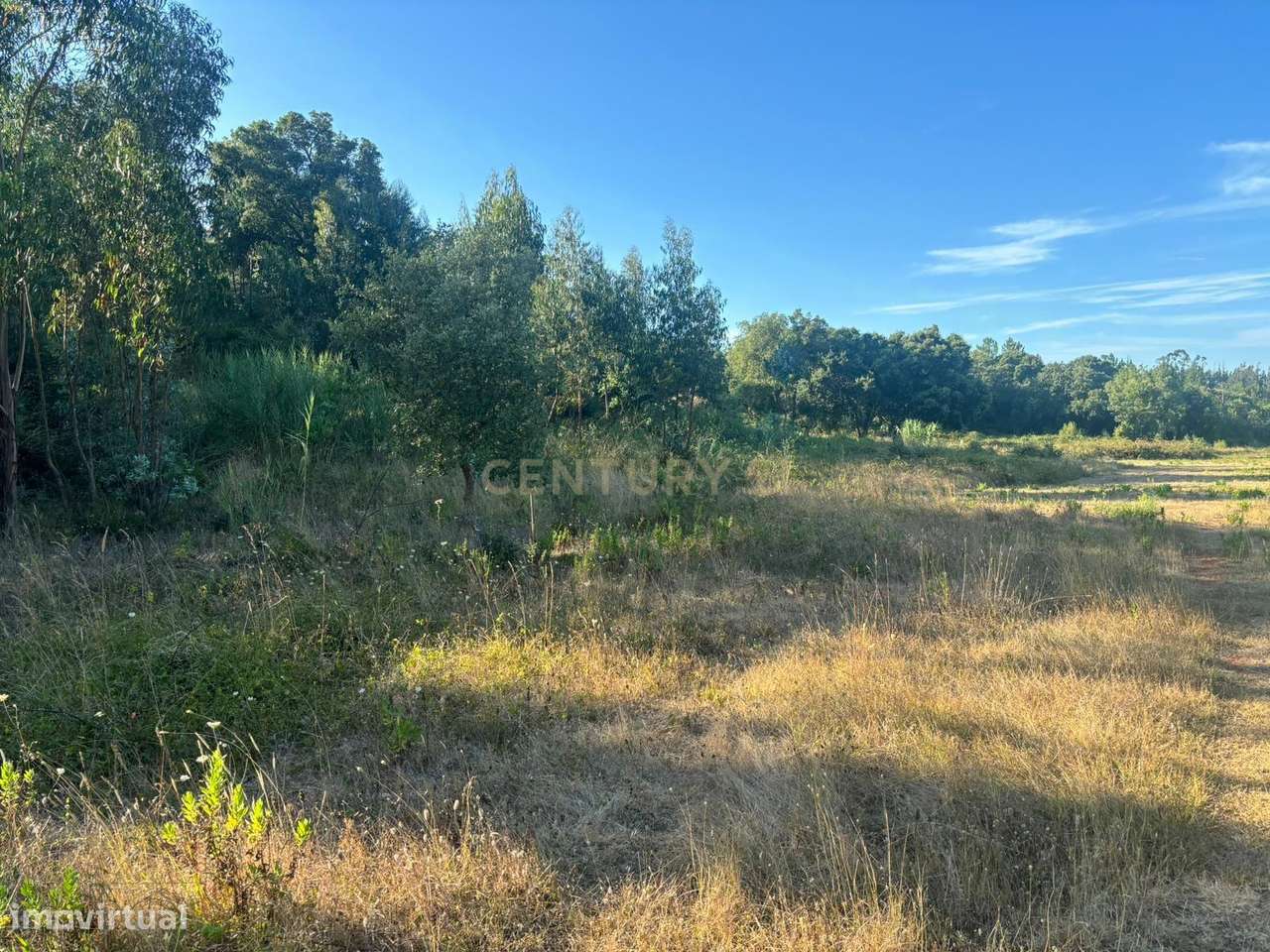 Terreno Rústico - Grande imagem: 4/18