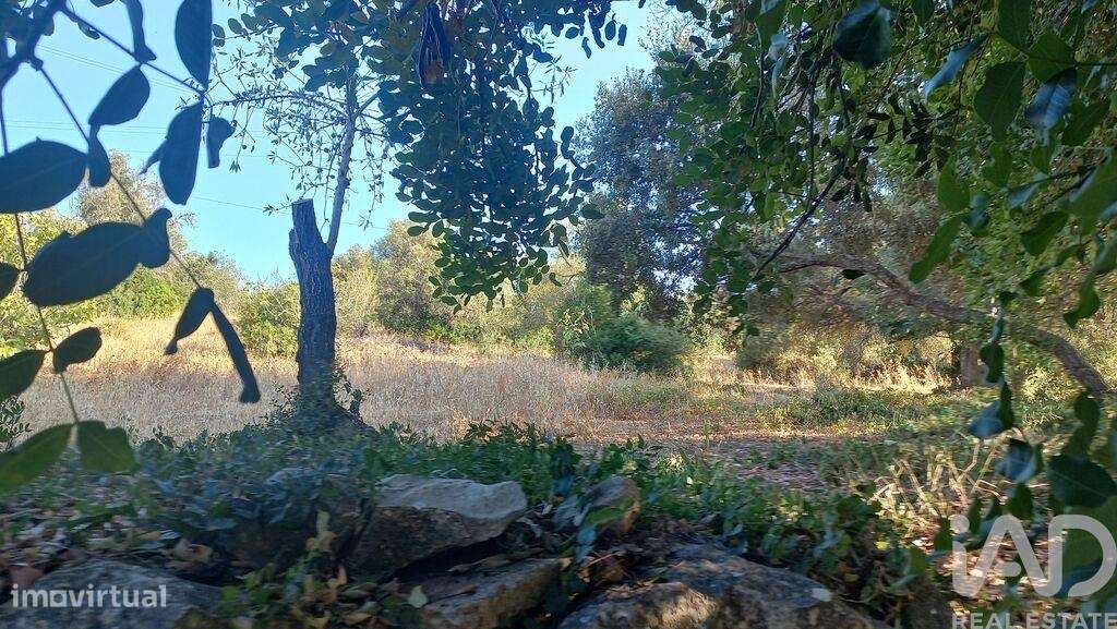 Terreno em Loulé (São Clemente) - Grande imagem: 3/12