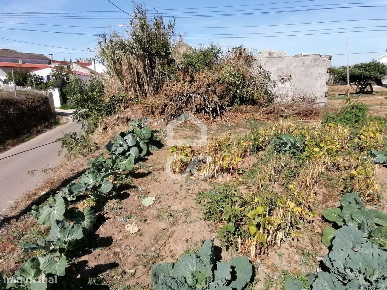 Moradia para recuperação, inserida num amplo lote de 687 m²-12