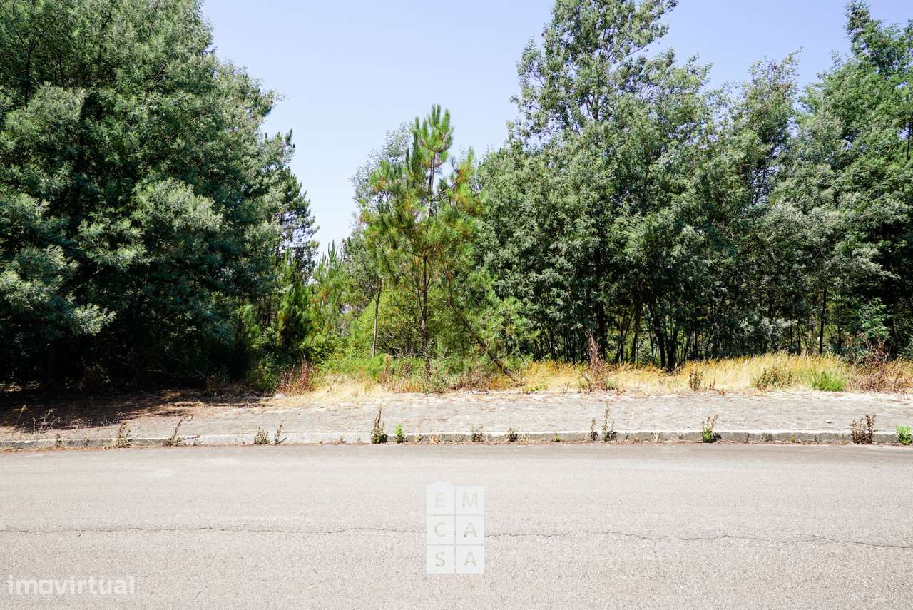 Terreno  Venda em Nogueira do Cravo e Pindelo,Oliveira de Azeméis - Grande imagem: 5/6