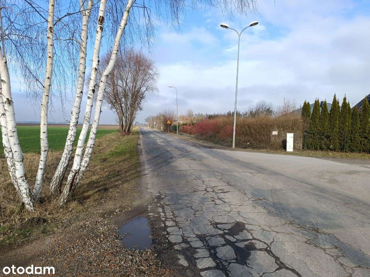 Błażejewko pod lasem, urządzony ogród, w.standard-7