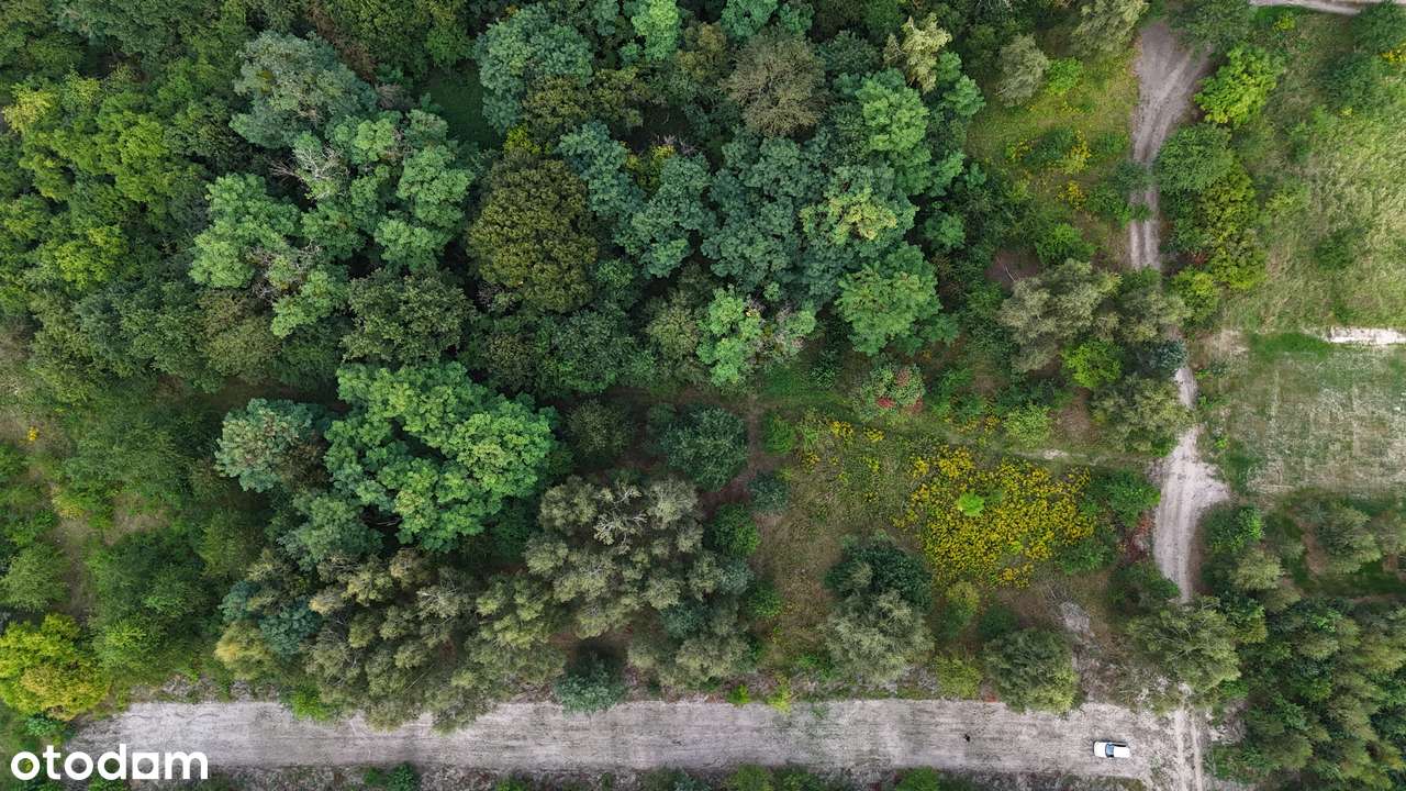 Cudowna działka budowlana. W krainie jezior, lasów, ciszy i natury. - Pełny obrazek: 4/20