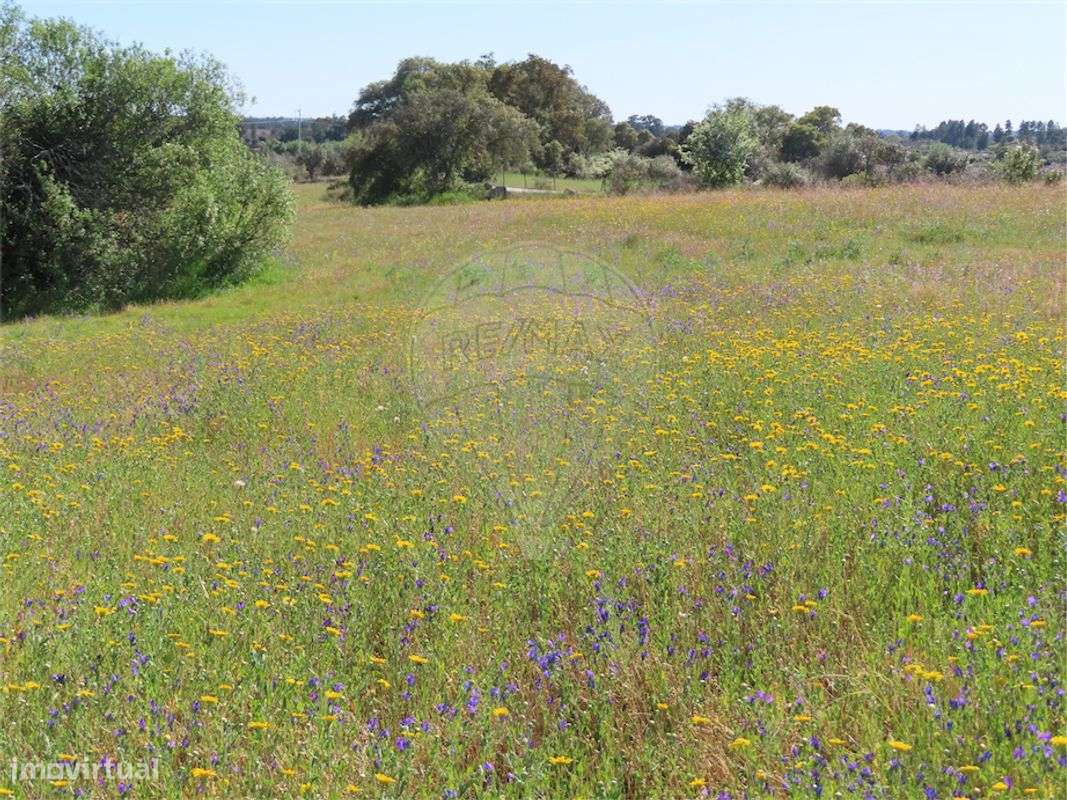 Quinta T2 para venda - Grande imagem: 5/50