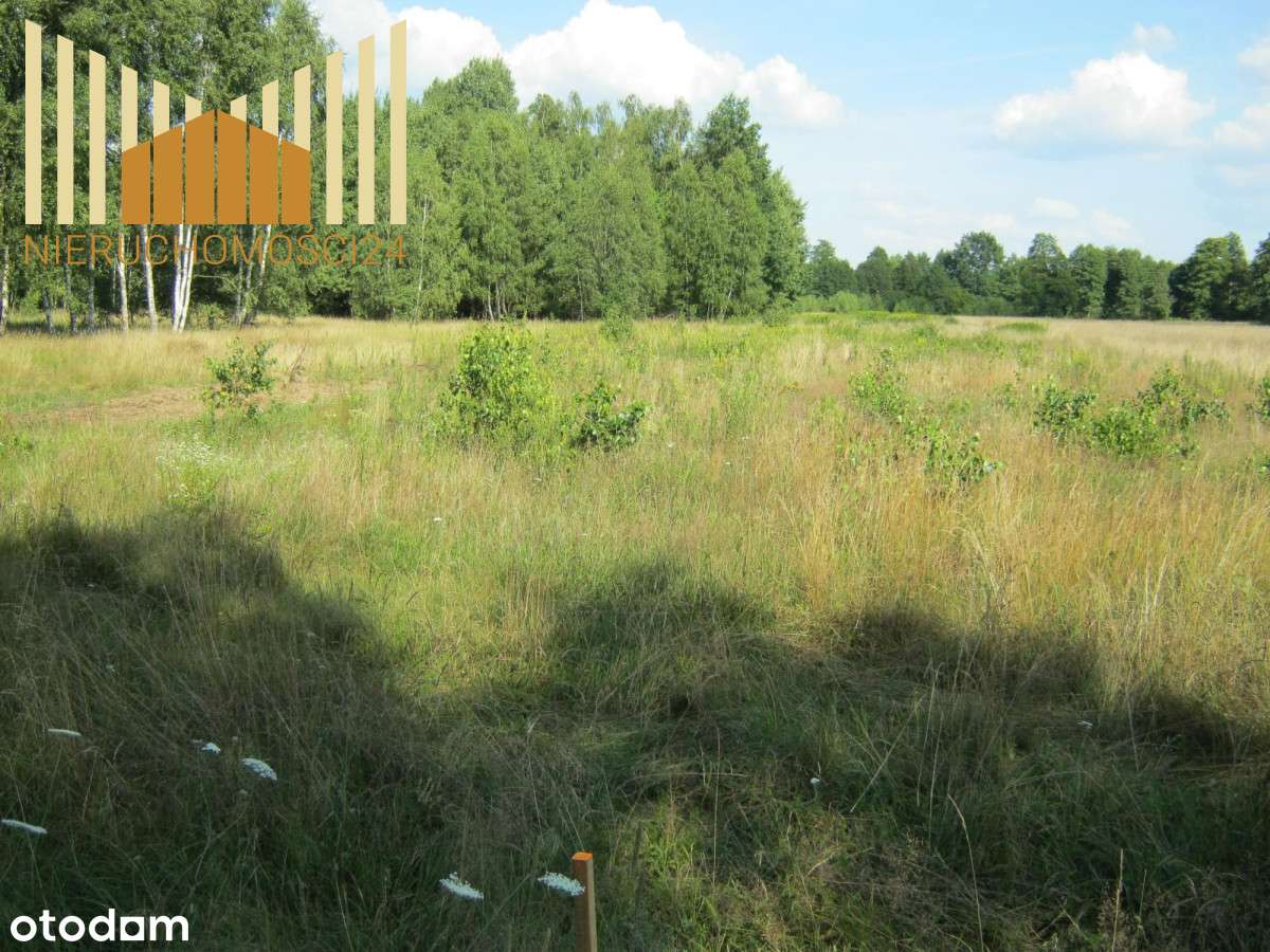 Działka dla znudzonych miastem !!!!!! - Pełny obrazek: 4/8