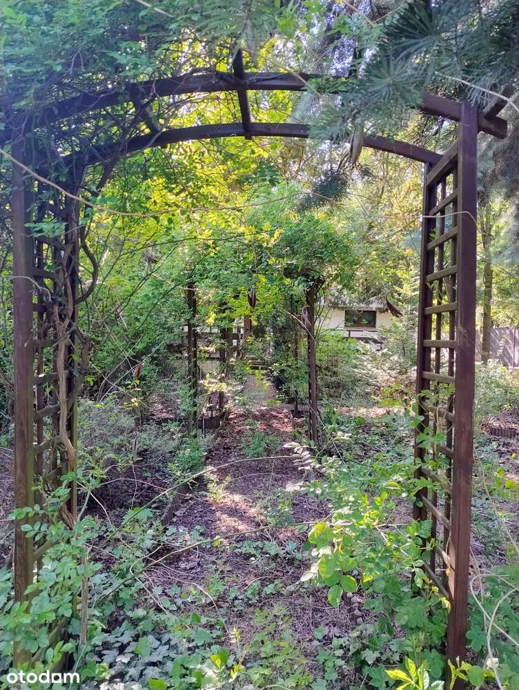 Dom/bliźniak/Konikowo-2