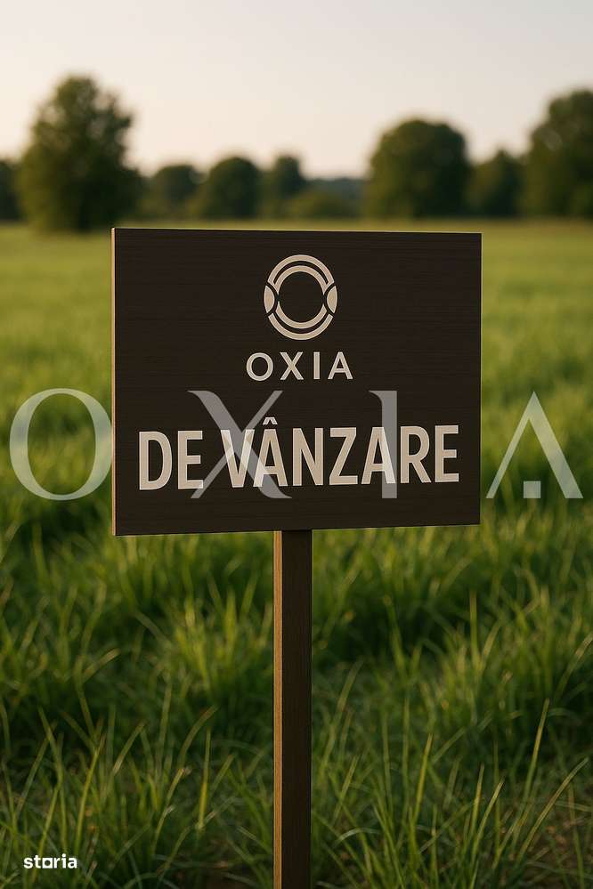 AX1152 Berecsaul Mic, Teren Intravilan Pentru Constructii, 20 Euro/Mp - Imagine principală: 4/4