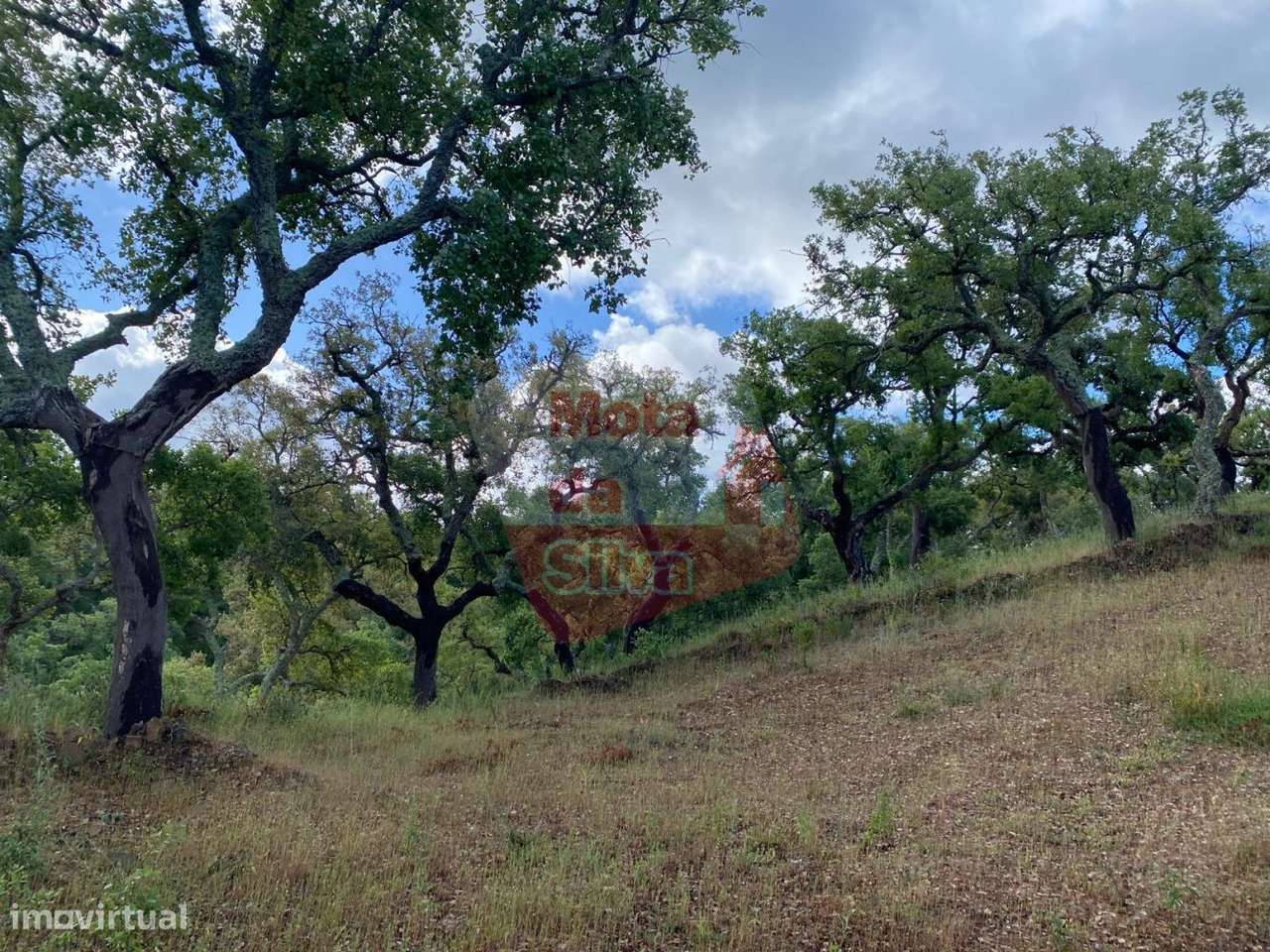 Terreno rústico com vista de serra e mar - Grande imagem: 5/13