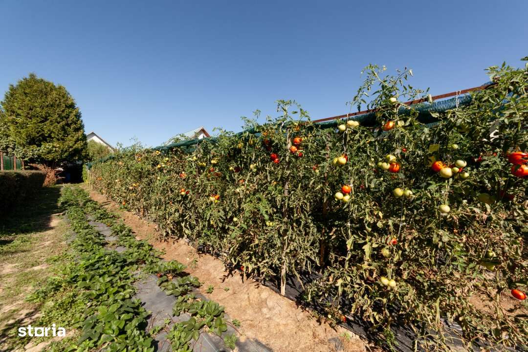 Casa visurilor cu livada roditoare si gradina amenajata - Imagine principală: 4/17