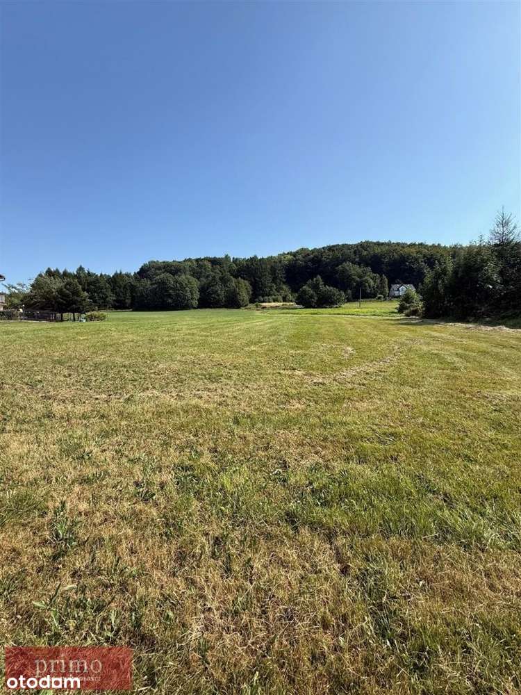 Działka, 2 580 m², Górki Wielkie-7