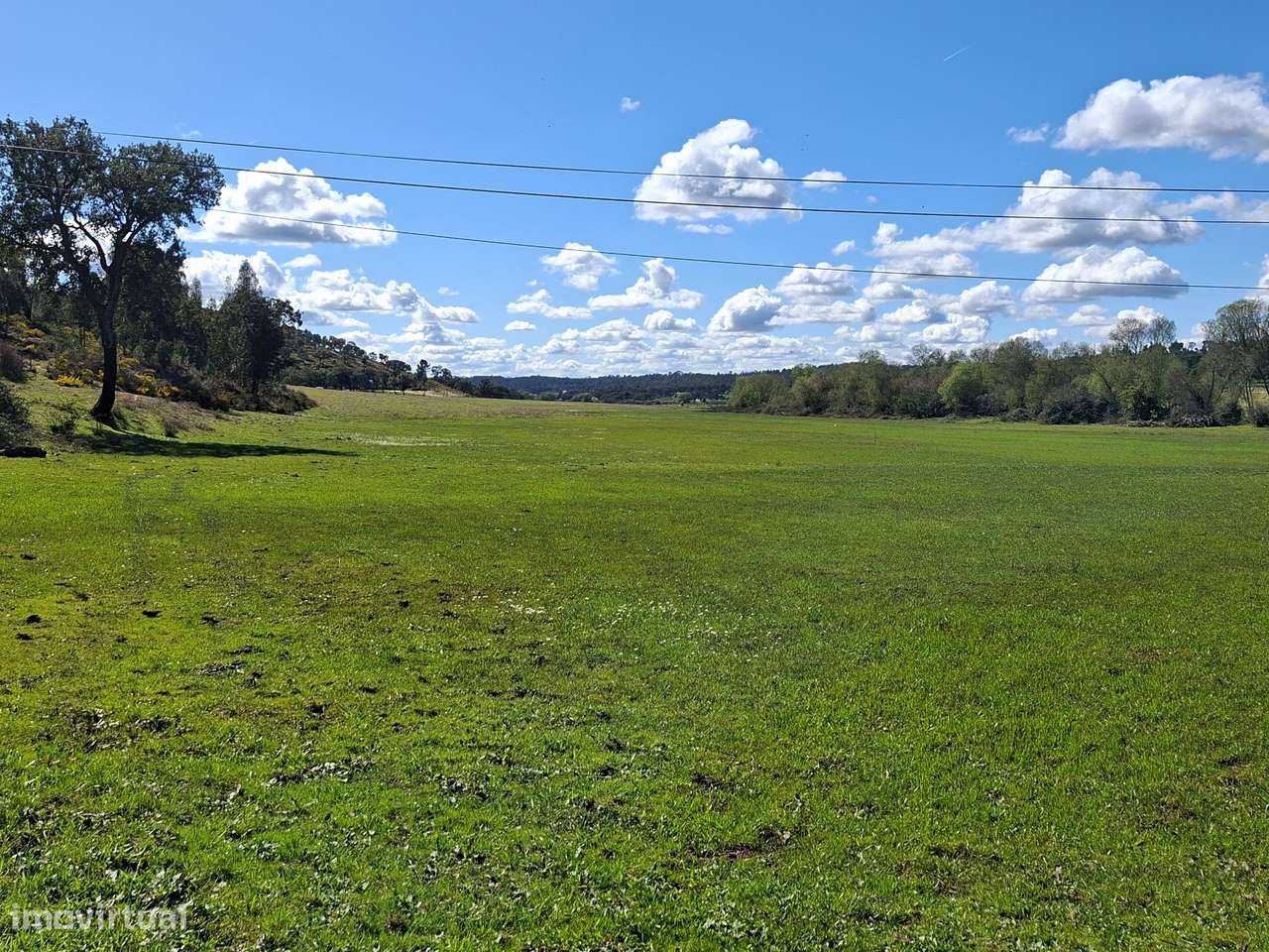 Quinta T5 Venda em Comenda,Gavião-27