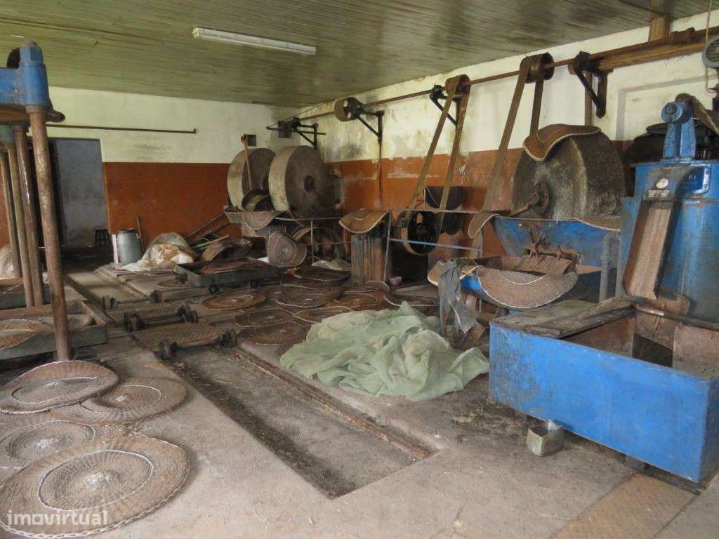 Lagar de Azeite com 380 m2 inativo à 5 anos - Grande imagem: 4/12