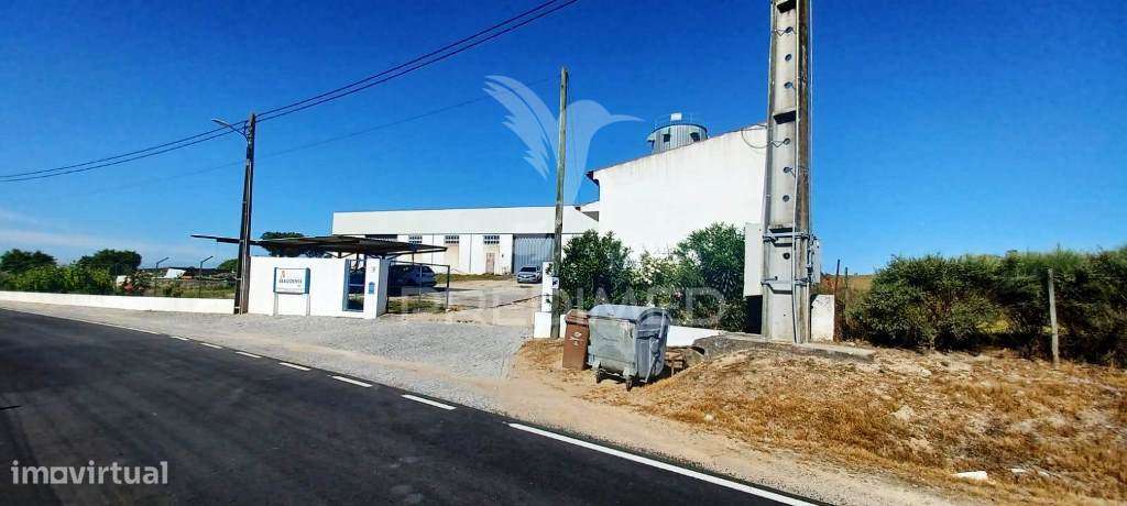 Imóvel Industrial (Carpintaria) - Grande imagem: 3/25