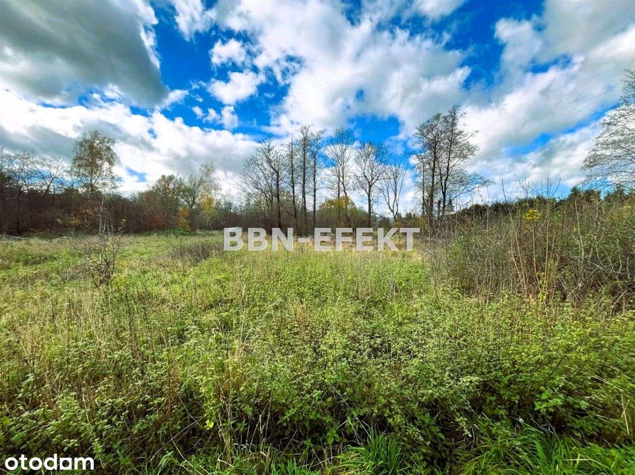 Działka, 1 300 m², Pietrzykowice - Pełny obrazek: 5/7