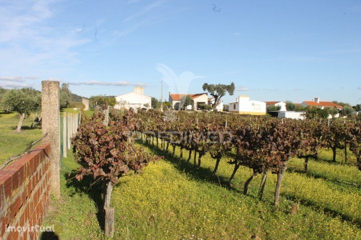 Quinta em Redondo-Alentejo