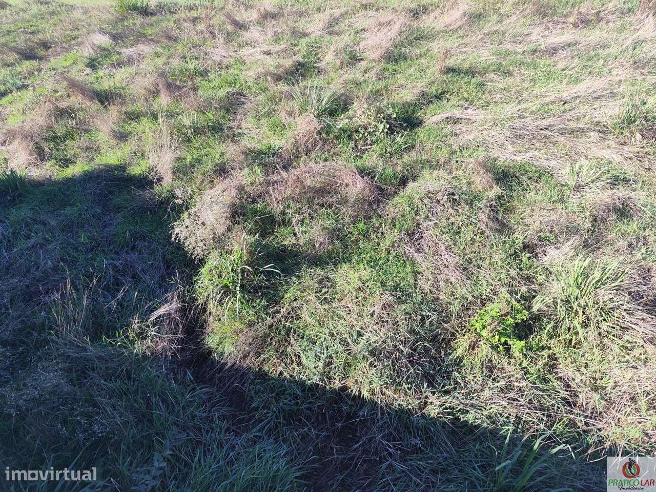 Moradia T4 na Palhaça-39