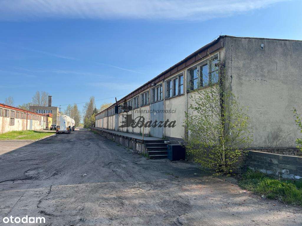 Hala 900m² - 40% taniej! Tylko do 31.05! - Pełny obrazek: 5/6