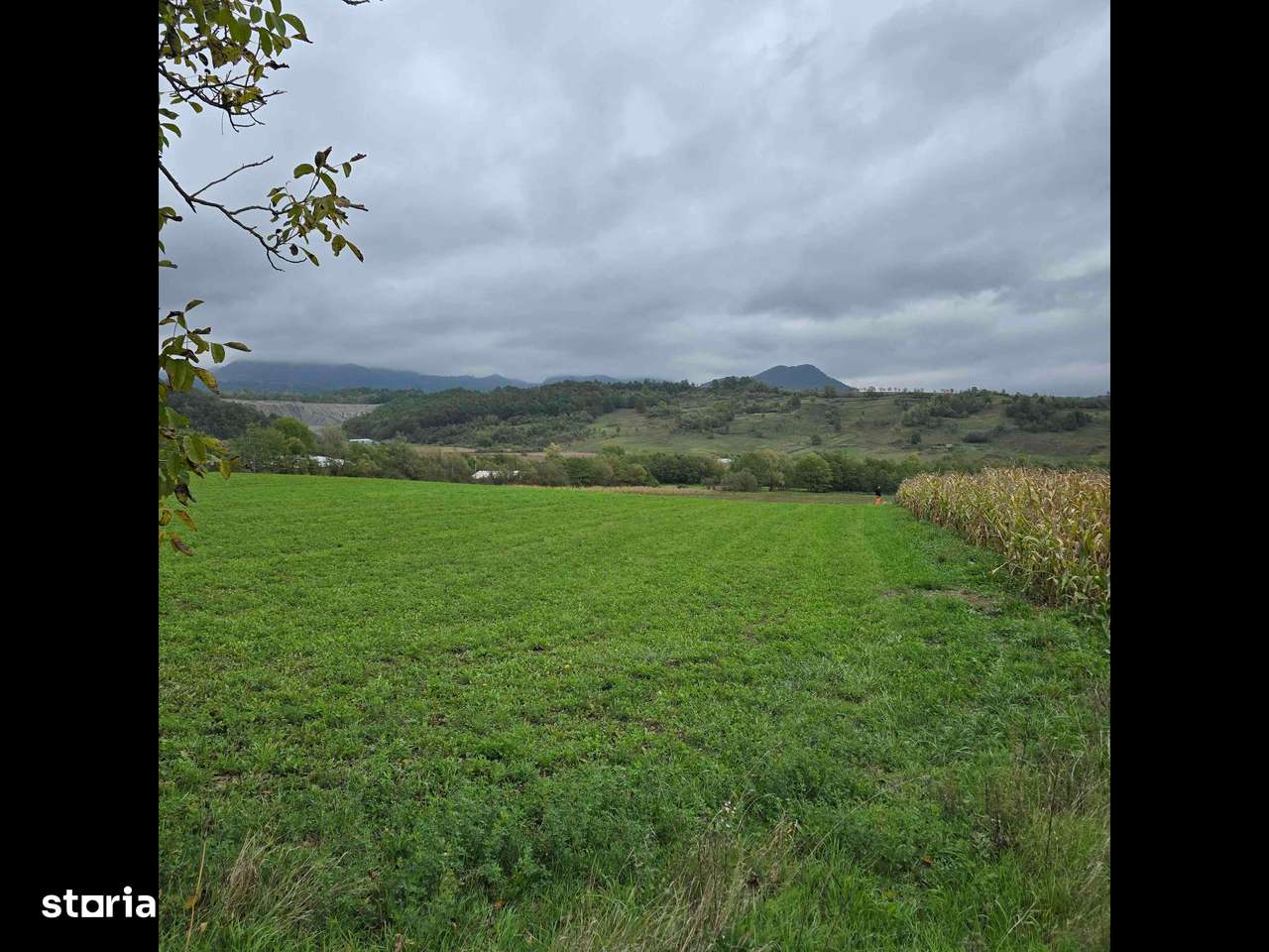 Vând teren drept la asfalt Certej. - Imagine principală: 3/4