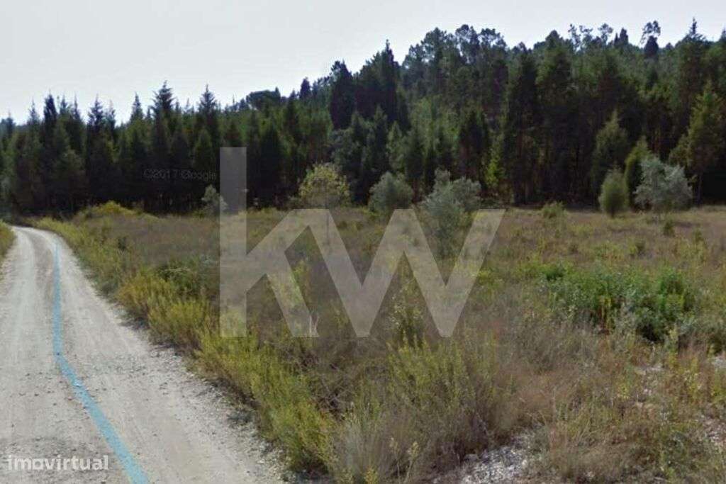 Terreno para construção de armazém - Grande imagem: 3/8