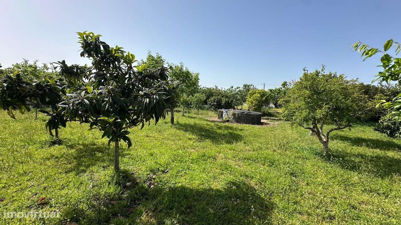 Moradia T4 com terreno em Oledo, Idanha-a-Nova-23