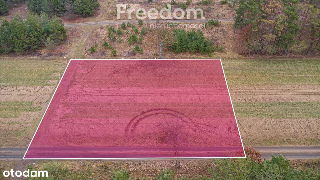 Piękna działka 1500 m2 w Grzegorzewicach - Pełny obrazek: 5/20