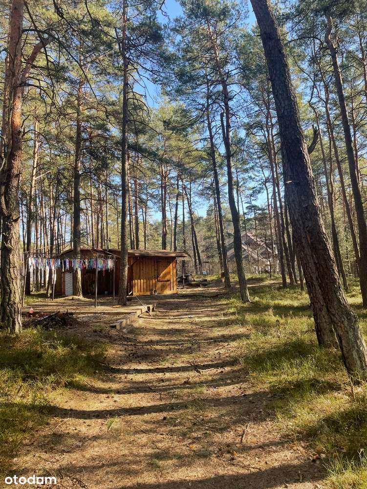 Piękna działka budowlana Żarki Letnisko - Pełny obrazek: 4/4