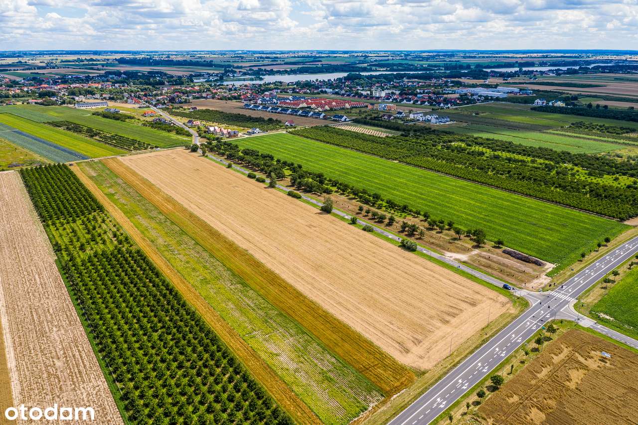 Działki usługowe od 2000m2 do 6000m2 ! Możliwość wybudowania MARKETU-3