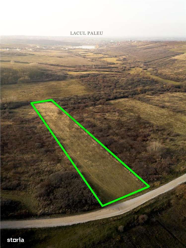 RECO . Teren extravilan . Uileacul de munte - Imagine principală: 4/7