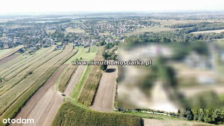 Działka budowlano-rolna Syrynia ul. Wolności - Pełny obrazek: 5/8