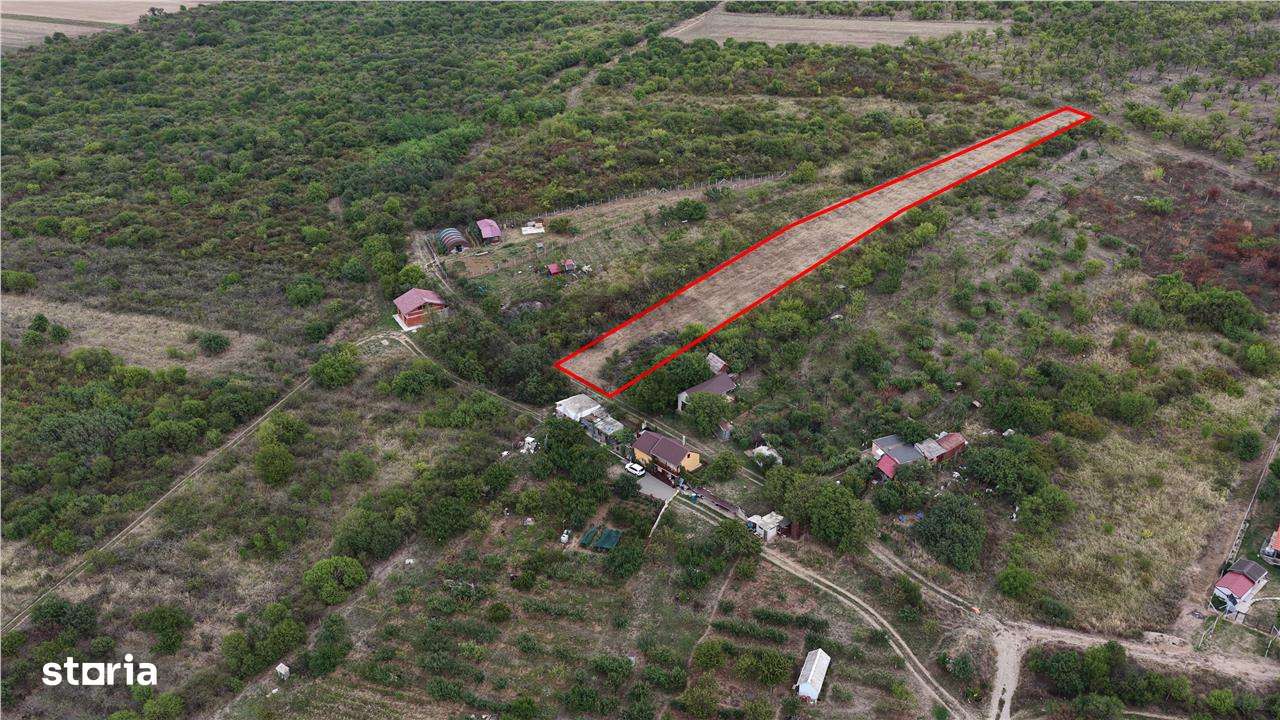 RECO Teren Episcopia - Imagine principală: 3/6